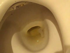 Asian pissing into toilet
